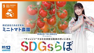 たねまき常総のミニトマト農園『SDGsらぼ』雪見みとMC/リケンテクノスPresents2023年4月1日放送【公式】