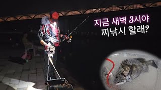 밤에 감성돔 찌낚시 해봤어? #fishing #찌낚시 #감성돔