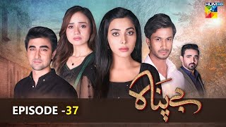 Bepanah - Episode 37 - ( Eshal Fayyaz - Khaqan Shahnawaz - Kanwal Khan ) 30th November 2022 - HUM TV