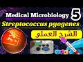 Streptococcus pyogenes identification شرح العملي