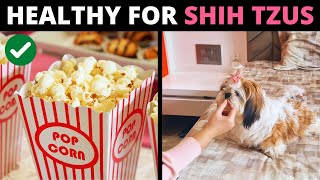 10 Human Foods that are Actually GOOD for Shih Tzus