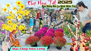 Chợ hoa tết 2025 nhiều hoa kiểng độc lạ nhất miền tây đổ bộ Cao Lãnh Đồng Tháp