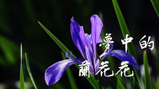 劉建東「夢中的蘭花花」♪ღ 陕北民歌