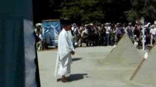 Crow ceremony in Kyoto temple