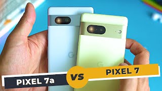 Google Pixel 7a vs Pixel 7: Camera Comparison