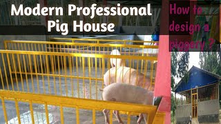 A modern professional pig house