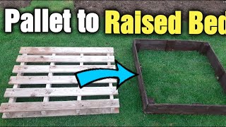 Transform a Pallet into a Free Raised Garden Bed