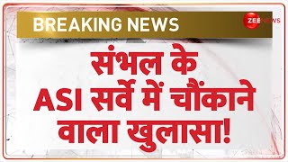 Sambhal ASI Survey Update: संभल के ASI सर्वे में चौंकाने वाला खुलासा! Security | IPS KK Bishnoi