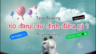 chọn 1 tụ bài-HỌ DỰ ĐỊNH ĐIỀU GÌ Ở HIỆN TẠI? Anya Healing_Tarot