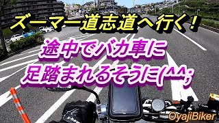 ズーマー道志道へ行く　バカ車に足を轢かれそうになった！　OyajiBiker