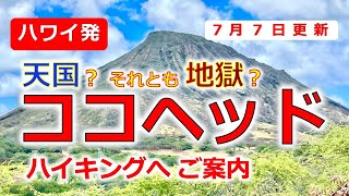 ココヘッド・トレイルに挑戦しました！！