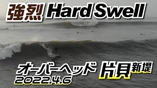 片貝新堤サーフィン【ドローン空撮】2022年4月6日