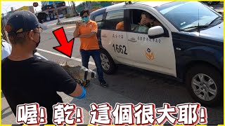 警察驚呼：「乾這個很大吶！」【超巨綠鬣蜥】突襲 7-11！多人圍捕壓制成功！TRG用臉探險 | EP 98