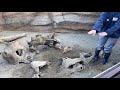 横浜動物園ズーラシア