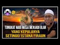 Ular Dari Tongkat Nabi Musa Setinggi Istana Firaun | Ustaz Auni