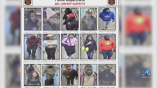 Police: Numerous larcenies across Suffolk ABC stores