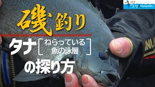 【磯釣り】「出るか！？グレ４０cmオーバー　ターゲットが泳ぐ層“タナ”の見極め術」釣り名人の秘密を暴け！第102回