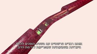 פרופ' עמית שגב, מהי מחלת לב איסכמית?