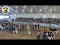 pdfa jagraon 2025 hf kheeri heifers final competition