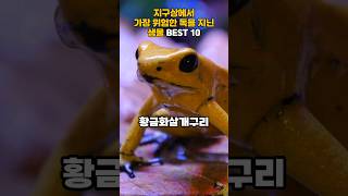 지구상에서 가장 위험한 독을 지닌 생물 BEST 10