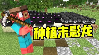 MC规则通关挑战：你可以种任何生物！种末影龙会出现游戏特性！