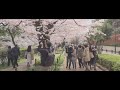 【歩き撮り】 🌸2022 千鳥ヶ淵緑道 桜＠東京 千鳥ヶ淵 ４k 21 9 tokyo walking video ［sakura］