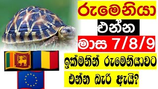 රුමෙනියාවට ඉක්මනින් එන්න බැරි ඇයි @max9813