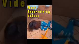 Trending Funny videos  | Most entertaining Videos | Amazing funny videos #funny #funnyvideos #shorts