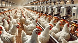 Farmers VS Robots Which is Better for Raising Millions of Chickens?  | Agriculture Technology