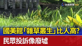 國美館「雜草叢生」比人高？ 民眾投訴像廢墟