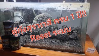 ตู้กุ้งสุราเวสี ครบ 1 ปี!! ได้เวลา Reset ระบบ!!