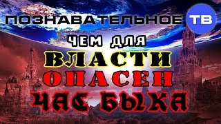 Чем для власти опасен Час Быка? (Познавательное ТВ, Михаил Величко)