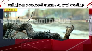 കണ്ണൂര്‍ അഴീക്കോട് ചാല്‍ ബീച്ചിലെ തീപിടിത്തം; ആമകളും പാമ്പുകളടക്കം നിരവധി ജീവികള്‍ ചത്തു | Fire