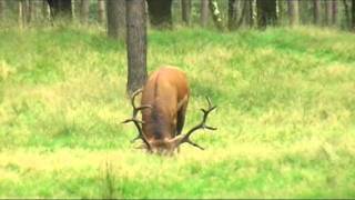 Aardhuis Bronst Perikelen.Veluwe