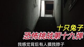 挑战12点在楼道唱《十只兔子》，会看到兔子吗？结果却出现了猫