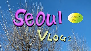 [Vlog] 서울 브이로그 | 2025년 새해에는 에너지를 어떻게 얻을까 | 1월 하편 | 꼬메아미꼬 갤러리 방문기 | 친구와 함께 또는 혼자 산책하기 | 고양이 아트워크