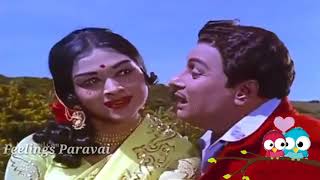 ஏன் டி கள்ளச்சி என தெரியலையா l MGR version l Feelings Paravai