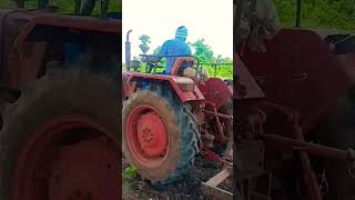 cotton inter weed  extractions with tractor 🚜 #farming #nature #villagelife