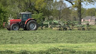 Gras harken met Massey Ferguson 8110 en Krone Swadro 1400 Plus (2022)