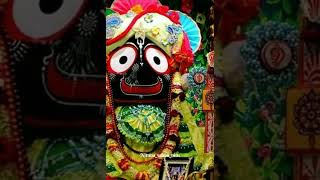 🌸ଆ ରେ ଆ ରେ ଭାବବିନୋଦିଆ ⭕‼️⭕🙇‍♀️🙏🏻🌿📿🌸#viral #love #odia #jayjagannath #viralvideo