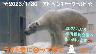 ☆2023/1/30☆ライト君に会って来た🧸その１（アドベンチャーワールド）