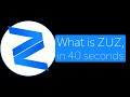 Introducing ZUZ