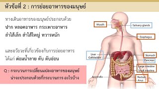 การย่อยอาหารของมนุษย์ | Mouth | EP.2 [1/9] | ชีววิทยา​ 4 | Anchan__