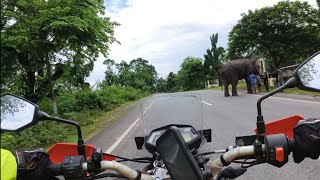 Kaziranga to Sivasagar 200 km Solo ride | Motorcycle Diaries | Ep 1