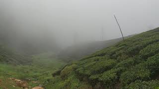 Valparai #bike_ride #mist  😍