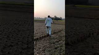 প্রকৃতির মাঝে। #nature #naturelovers #shortvideo #video #videoshort #প্রকৃতি #সুন্দর #shortvideo