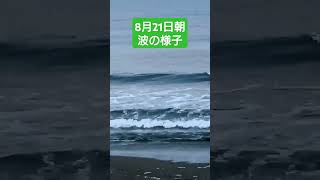 辻堂正面波の様子#shorts #初心者向け波情報 #ショート動画 #辻堂マーボーロイヤル #surfing