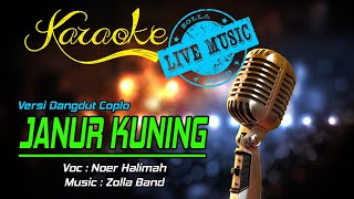 Karaoke JANUR KUNING - Noer Halimah  (Live Music)