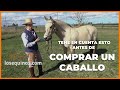 🐴 QUE TENER EN CUENTA ANTES DE COMPRAR UN CABALLO ? -  Consejos - WWW.LOSEQUINOS.COM