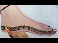 Very beautiful stylish foot feet mehndi design/Pair ki mehndi ka design #trending#viral#mehandi